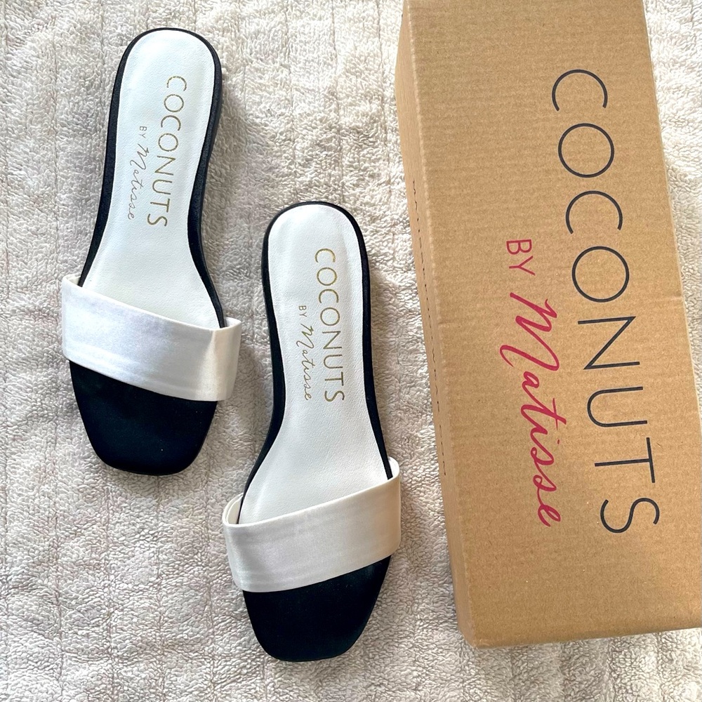 Coconuts by Matisse